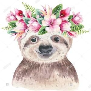 Meet your Posher, Anita